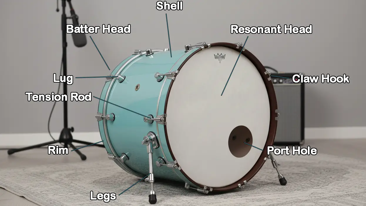 Drum Anatomy: A Complete Guide to the Bass Drum and Kick Pedal